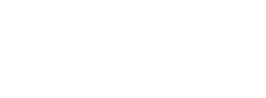 Dachreparatur Service Wien